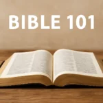 bible 101