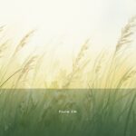 Psalm 136 — Hodu | Text, Meaning and Reflection