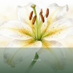 Psalm 74 — Maskil | Text, Meaning and Reflection Psalm 74 — Maskil | Text, Meaning and Reflection